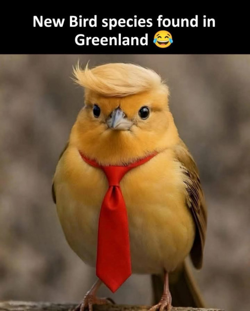 Nový druh v Grónsku