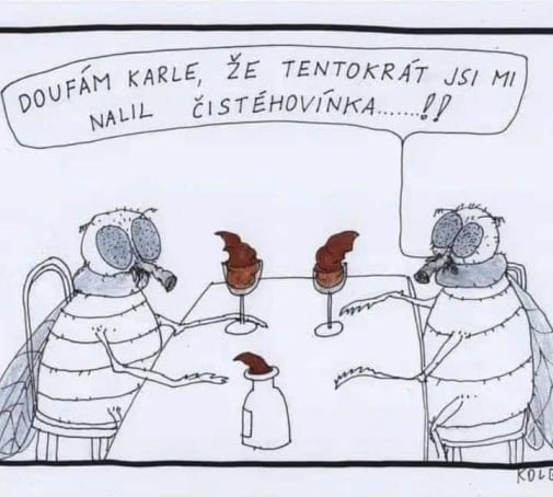 Čisté vínko